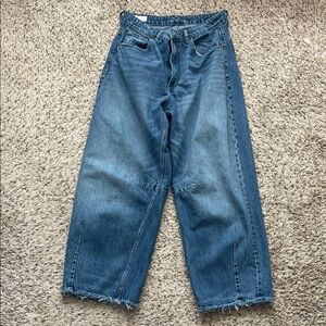 Barrel Leg Zara Denim Jeans